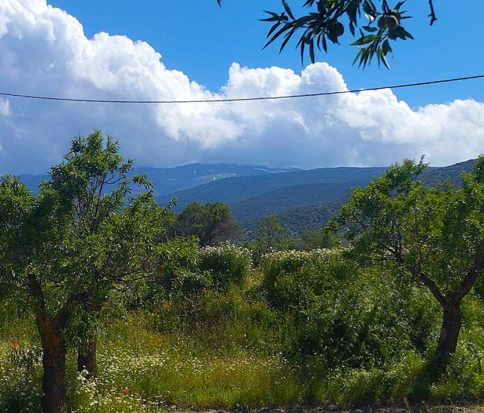 Archivo:Los campos de Huéneja, Granada, Región Histórica de Granada, con la primavera ya avanzada, pero aún con nieve en Sierra Nevada..jpg