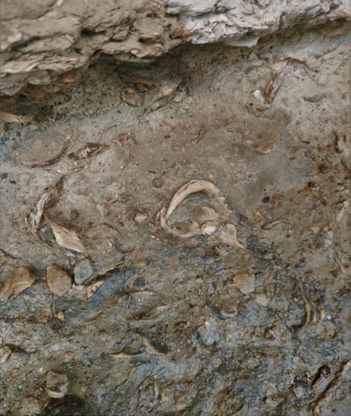 Archivo:El Barranco de la Luna presenta numerosos fósiles, muchos marinos, Saleres, Región Histórica de Granada, España..jpg