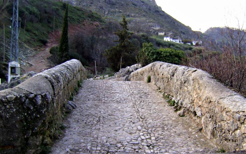 Archivo:Puente romano de Colomera. Calzada sobre el puente empedrada..jpg