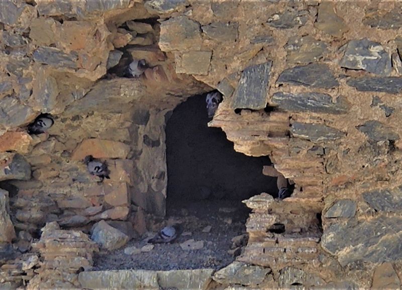 Archivo:Atalaya de Cambriles antes de su restauración, Castell de Ferro, Granada, Reino de Granada III o Cristiano. Hueco de su deteriorada puerta, de la que conserva la parte interna de ladrillo..jpg
