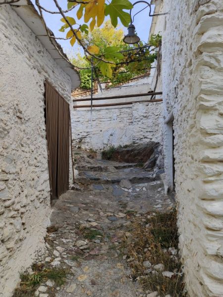 Archivo:Ferreira, algunas casa tienen características constructivas similares a las de la vecina Alpujarra..jpg