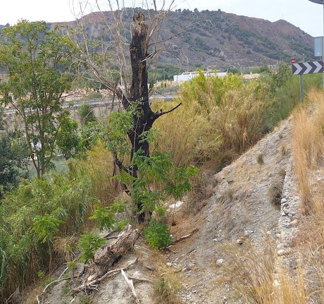 Archivo:Cauce de la histórica acequia del Cadí, en el pasado con agua y su ecosistema (ranas, aves, pequeños reptiles... álamos, juncos...) hoy desolación y muerte..jpg