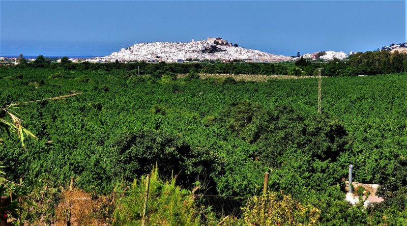 Archivo:Valle del río Guadalfeo, entre la desaparecida Pataura, Lobres y al fondo Salobreña. Provincia de Granada, Región Histórica de Granada, España. En este valle se encontraba la torre del Hospital..jpg