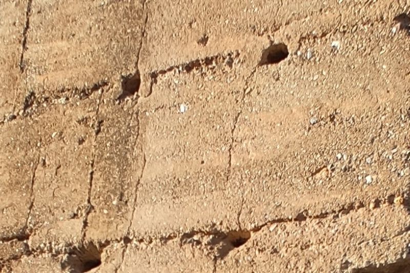 Archivo:Tapial calicostrado (numerosas tongas de tierra apisonada entre capas delgadas de argamasa de cal y arena, con una costra protectora exterior de la misma argamasa), Reino de Granada II o Nazarí..jpg