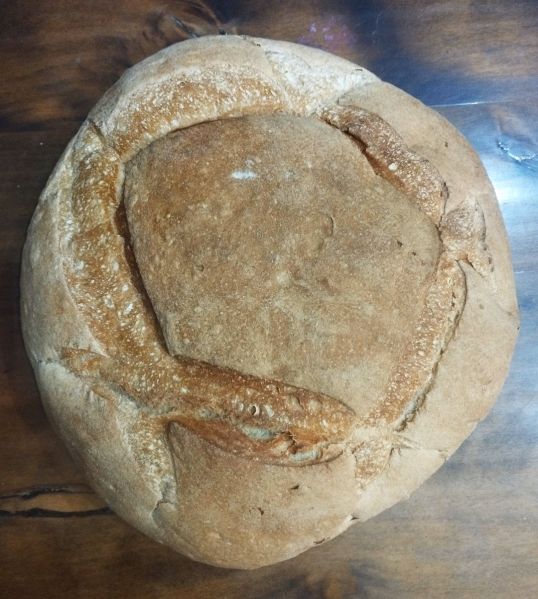 Archivo:Castril de la Peña, Granada, Región Histórica de Granada, España. Pan de horno de Castril, con el auténtico aroma y sabor de pan de pueblo..jpg