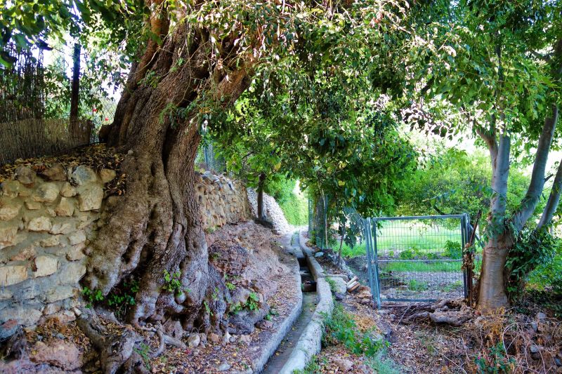 Archivo:La Serena, Bédar, Almería, Región Histórica de Granada. Antiguas acequias en su hermosa vega adaptada al terreno montañoso..jpg
