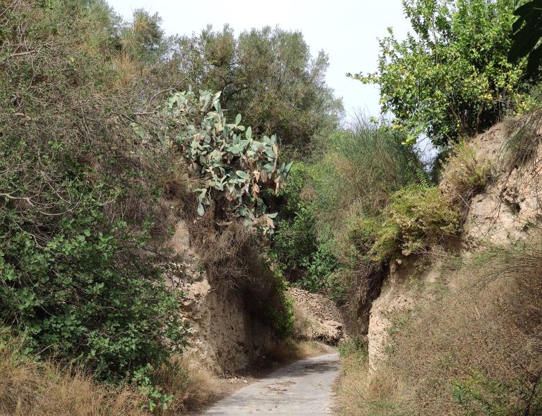 Archivo:Camino Real de la ciudad de Granada a Motril. Provincia de Granada, Región de Granada, España..jpg
